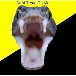 flore92150's profile picture. Liberal / Libertaria 🩷🟨⬛  ∆ Directioner 🩷🆔  ✨ Blink 💮

🎀 sígueme: https://t.co/pSdOOnDcva