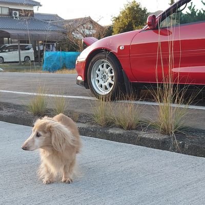 1999年 TOYOTA MR2 sw20 5型 GT-S リトラ教 リトラ狂 リトラは至高 本人は2001年式 当時ナンバーも大好物です 車あるのに乗れないのつらい