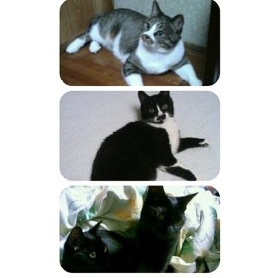 masato_ma310_'s profile picture. ma310＝マサトです😊
パチ、スロ、麻雀、車、魚釣り、山菜採り、たまに家のリフォーム…
中段ちぇりこ🍒ちゃん中心にガイドの人達を応援と来店行ってます😊🎰
安藤りなP🌈中心に麻雀プロ連盟北海道本部応援🀄＆りなたんず＆きたたんず＆でこたんず