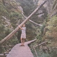 Krzych (@krzych719905) 's Twitter Profile