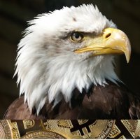 Defi King (@defik4554) 's Twitter Profile