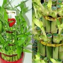 Jacob Sherrod - @JacobSherrod1 - Twitter