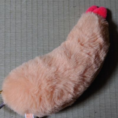 ふわふわエビフライ🍤さんのプロフィール画像