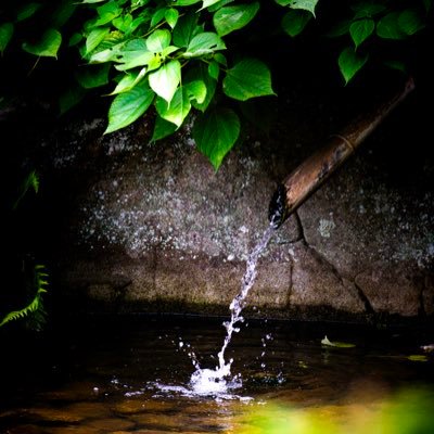 koyan0528's profile picture. 神奈川住み/18↑/大学生/📸/ 最近コス撮してます