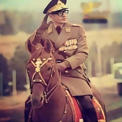 رنگ این سالهایِ آخر رنگِ نسلِ بوف کورِ،رنگ خودکشیِ صادق از غمِ مرگِ غرورِ🍷🚬
(💙کورد ایران زمین 💙)
سپاهی،بسیجی،عرزشی⛔!