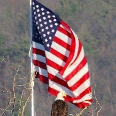 pennaheel's profile picture. 