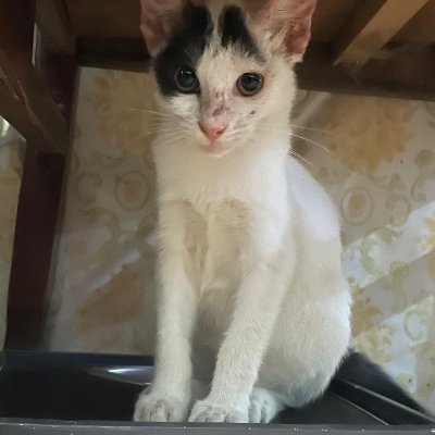 ya67363's profile picture. 