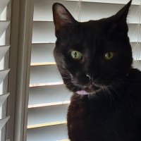 Jjones (@jjones29753795) 's Twitter Profile