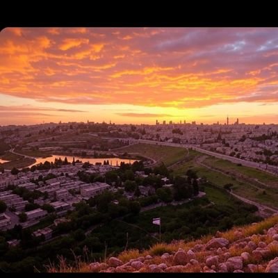 avi_ch_'s profile picture. 