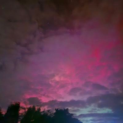 rachel_lane88's profile picture. BA history 
Msc care of collections 
Collections Unpacking Assistant for the Science Museum Group 🌻