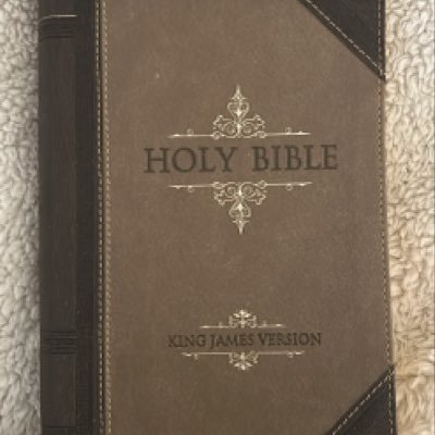 TXFMShark's profile picture. ✝️Christian 🐘Conservative 🤠 Texas born 🇺🇸American proud 👩‍❤️‍👨Heterosexual #ProConstitution #2A 🙏🏼God bless the USA