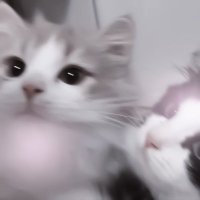 ゆ (@g3a_yp) Twitter profile photo