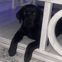 Austin (@_ajdavid) 's Twitter Profile