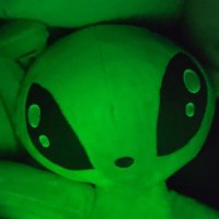 Rigby_robot (@keijiniio) 's Twitter Profile