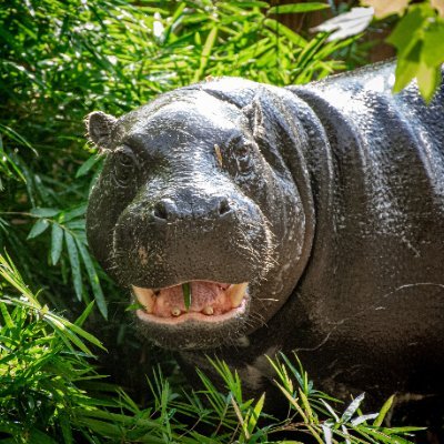 Robbos659934's profile picture. 