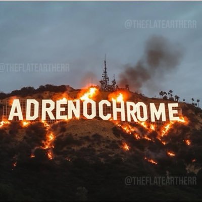 GrantRushing_'s profile picture. Business, Politics, and Sports. Christ is King.