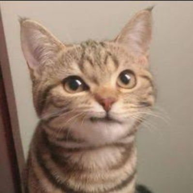 s60isabel's profile picture. ─ fan acc!「 AriGameplays & JuanSGuarnizo 」