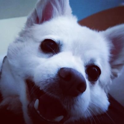 Thogril_xlx's profile picture. I am here and not at the same time