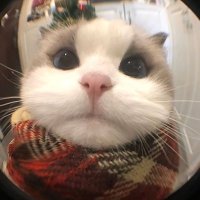 NN8EFW (@ning8efw) 's Twitter Profile Photo NN8EFW (@ning8efw) 's Twitter Profile Photo