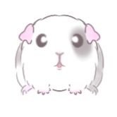 もるもちっとさんのプロフィール画像