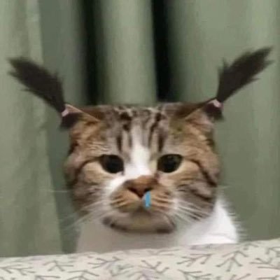 ☾°°°♡さんのプロフィール画像
