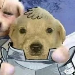 KXIKUUU's profile picture. 杂多/低浮上