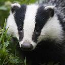 Gregory Forney - @GregoryForney1 - Twitter