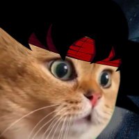 にに (@ninininikunkun) 's Twitter Profile Photo にに (@ninininikunkun) 's Twitter Profile Photo