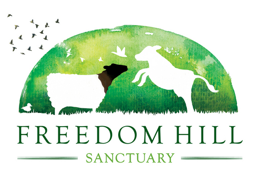 Freedom Hill Sanctuary is a small non-profit organisation dedicated to providing a loving home to neglected & unwanted farm animals.