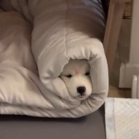 🌤️ (@times0912) 's Twitter Profile