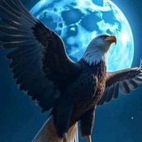Mostafa Ali (@mostafa06810208) Twitter profile photo