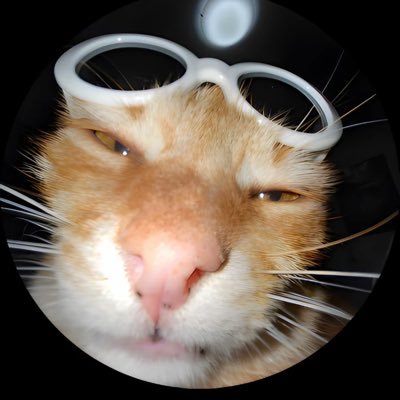 Pwinces99523901's profile picture. 