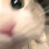 miniririn^᪲ (@bbyrrm) 's Twitter Profile