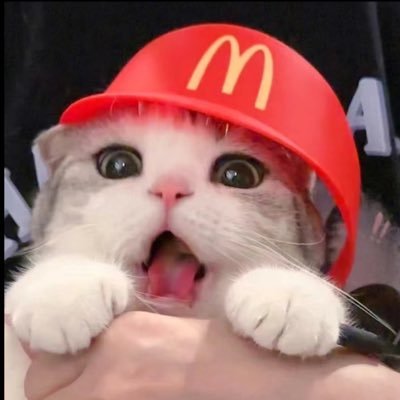 hooked1336053's profile picture. 