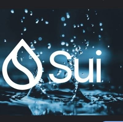 live more, worry less!!@Sui got u covered,go for it!!!🤳