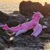 Pooltoy Adventures (@pooltoyvacation) Twitter profile photo Pooltoy Adventures (@pooltoyvacation) Twitter profile photo