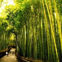 Harry Tejeda - @HarryTejeda - Twitter