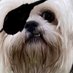 Lee Brown (@john23036440) Twitter profile photo Lee Brown (@john23036440) Twitter profile photo