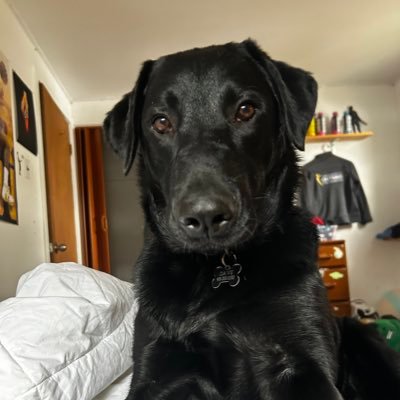 coldangrycanuck's profile picture. I was the guy that took ball room dancing classes alone because I wanted to be desirable . Artist. Fuck hate. @coldangrycanuck. https://t.co/yEV2OI2vFT