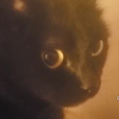 stocking_clint's profile picture. 