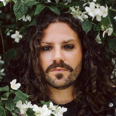 soundslikedanny's profile picture. Trommler
@robin_band
Jay The Bird