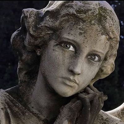 sectum_sempraa's profile picture. Day dreamer, Platonic lover