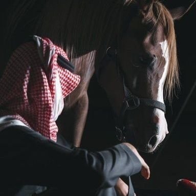 مجرد أنسان يشارك أفكاره بهدوء.
آللهم صل وسلم على نبينا وحبيبنا محمد وعلى آله وصحبه أجمعين 🤍🍃.
