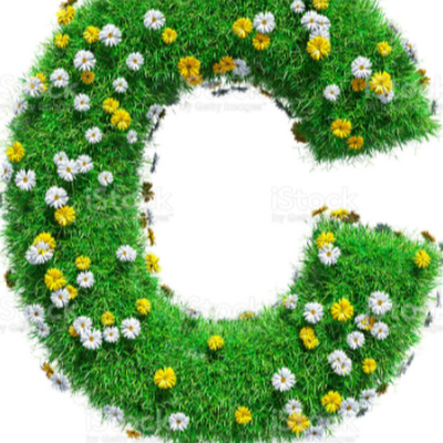 CFronick9652's profile picture. 