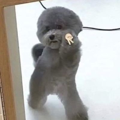 Lelelelikolele's profile picture. ...