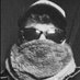 Black n White (@ec6572) Twitter profile photo Black n White (@ec6572) Twitter profile photo