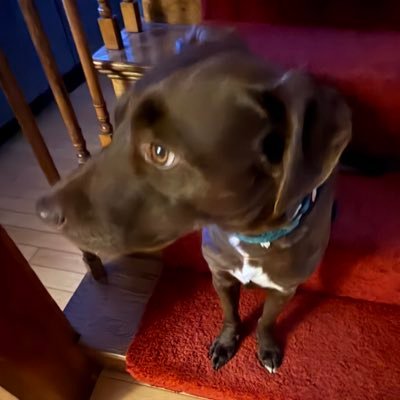 ball_peenhammer's profile picture. 
