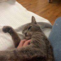 Ö (@omeriibirisi) Twitter profile photo