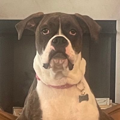 Dragonslayerma7's profile picture. Jesus follower, Gram, 🐶 lover, and RN. ❤️God, family, and America 🇺🇸. Ephesians 6:10-17.