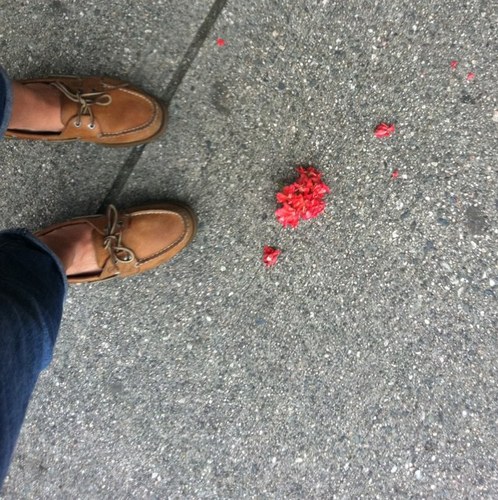 mollyop's profile picture. Im your grandmas new favorite person.